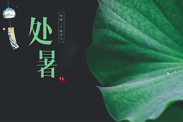 W | ÿһ|L(fng)ĉ(mng)